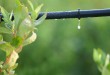 اصلاح الگوی مصرف آب در بخش کشاورزی-درست مصرف کنیم - آموزش همگانی - آگاهی مصرف