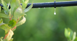اصلاح الگوی مصرف آب در بخش کشاورزی-درست مصرف کنیم - آموزش همگانی - آگاهی مصرف