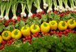 مزایای محصولات کشاورزی زیستی(ارگانیک)- پایگاه اینترنتی دانستنی در ایران