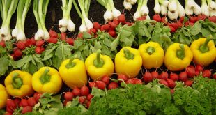 مزایای محصولات کشاورزی زیستی(ارگانیک)- پایگاه اینترنتی دانستنی در ایران
