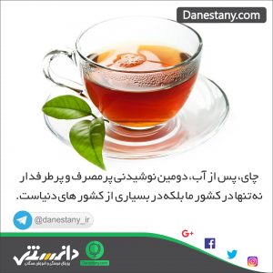 چای- پایگاه اینترنتی دانستنی در ایران