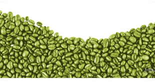 آیا می توان با قهوه سبز لاغر شد ؟- پایگاه اینترنتی دانستنی ایران