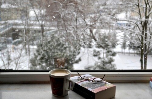 زمستان در ادبیات