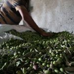 روغن زیتون